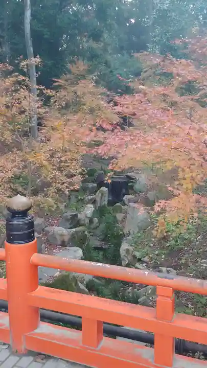 伏見稲荷大社の自然