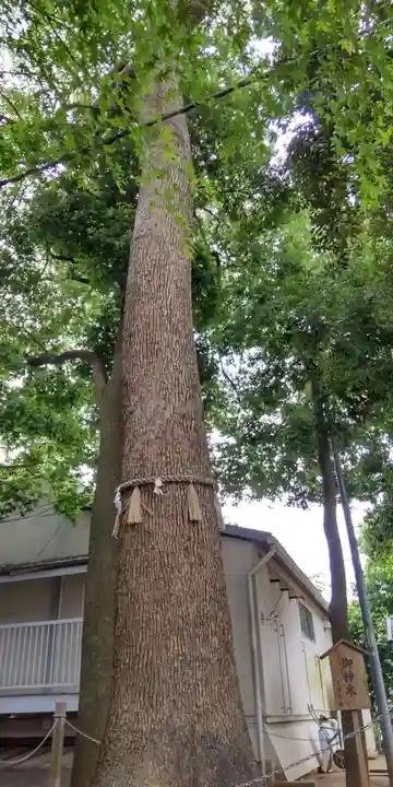 金ヶ作熊野神社の自然