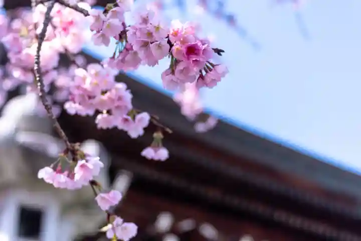 宮地嶽神社(福岡県)