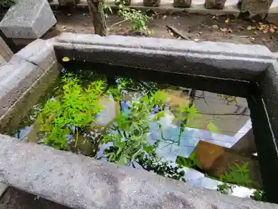 お三の宮日枝神社のその他建物