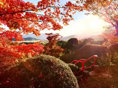 福泉寺(岩手県)