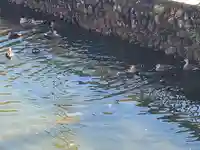 鑁阿寺(栃木県)