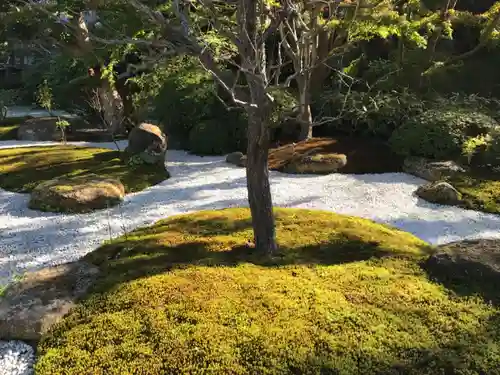 浄妙寺の庭園