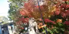 晴明神社(京都府)