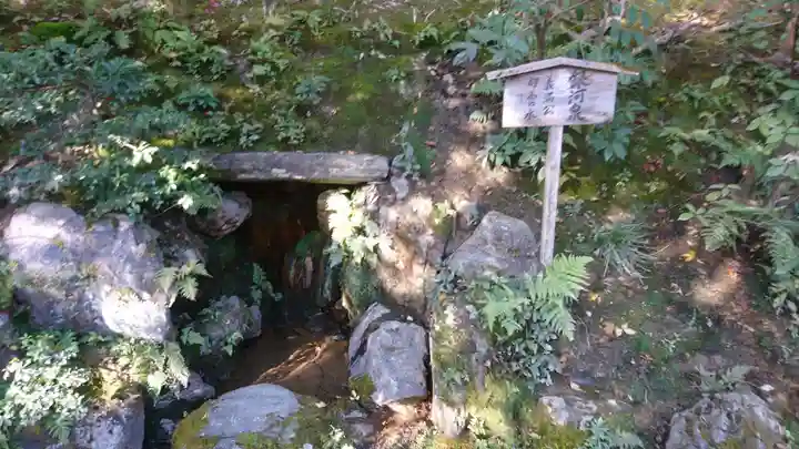 鹿苑寺(金閣寺)の庭園
