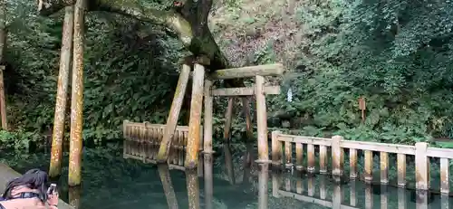 鹿島神宮の鳥居