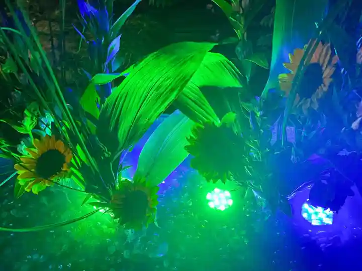 東海市熊野神社の手水舎