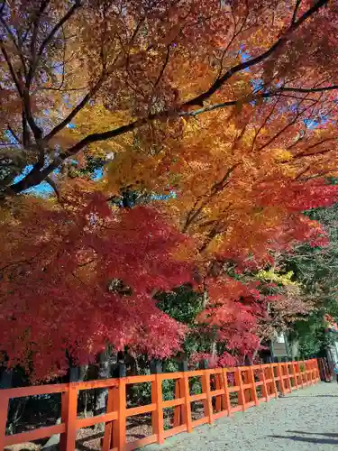 賀茂別雷神社（上賀茂神社）の自然