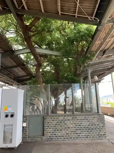 萱島神社(大阪府)