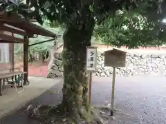 丹生川上神社（下社）(奈良県)