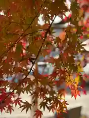 新倉富士浅間神社(山梨県)