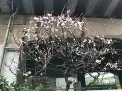 梅島天満宮の自然