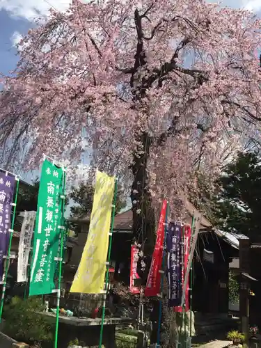 西光寺のその他建物