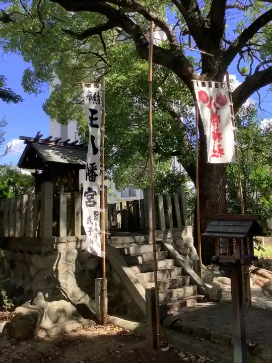 八幡社(松新町)の本殿・本堂