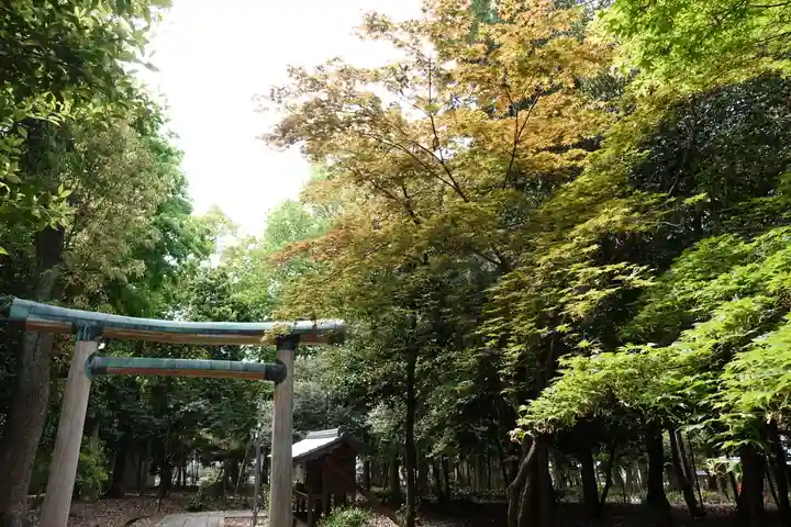 神明神社(神明皇大神宮)の鳥居