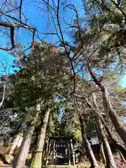 山家神社の鳥居