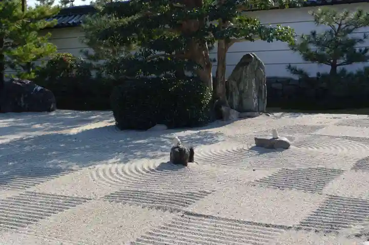 聖護院門跡の庭園