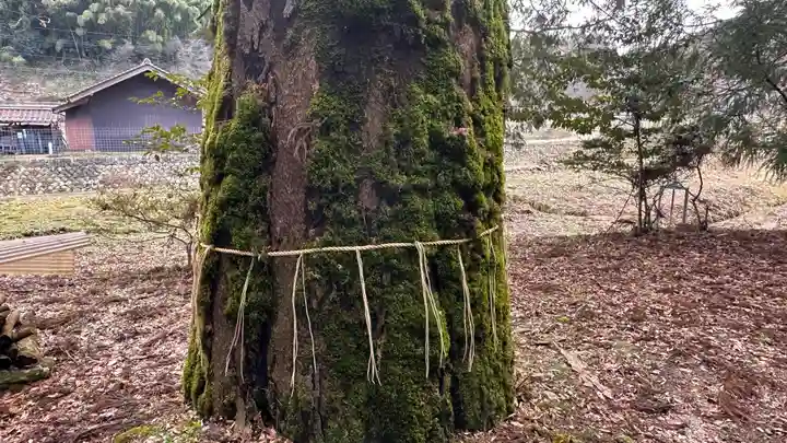 那岐神社(鳥取県)
