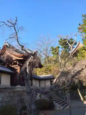 光明寺（粟生光明寺）(京都府)