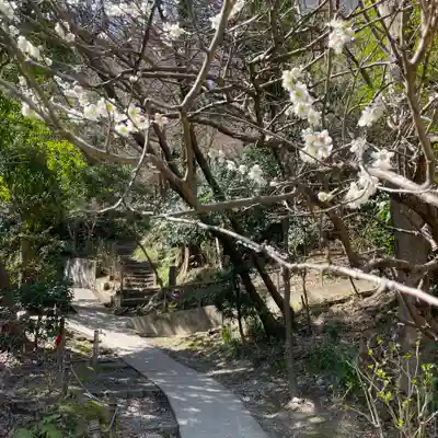 光則寺(神奈川県)