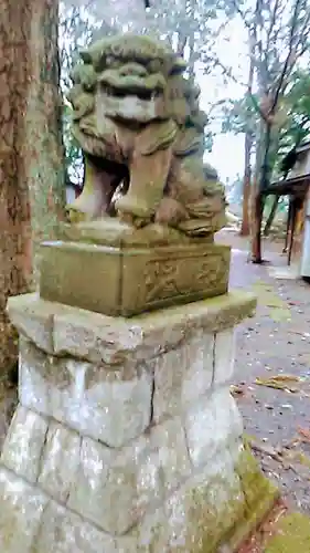 塙田八幡宮の狛犬