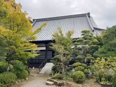 円福寺の本殿・本堂