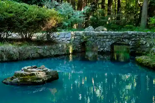 大麻比古神社(徳島県)