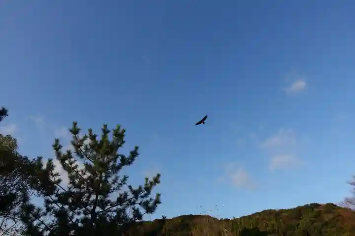 松帆神社の動物