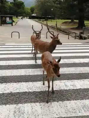 興福寺 南円堂(奈良県)