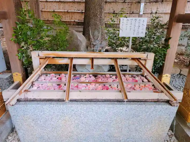 東京大神宮の手水舎