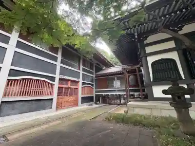 青松寺(東京都)