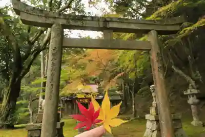 桜天満宮(京都府)