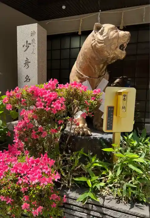 少彦名神社(大阪府)