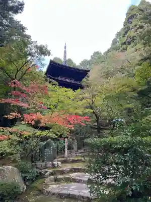 金剛輪寺(滋賀県)
