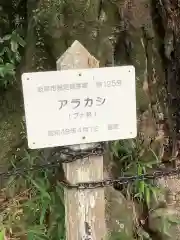 伊波乃西神社の建物その他