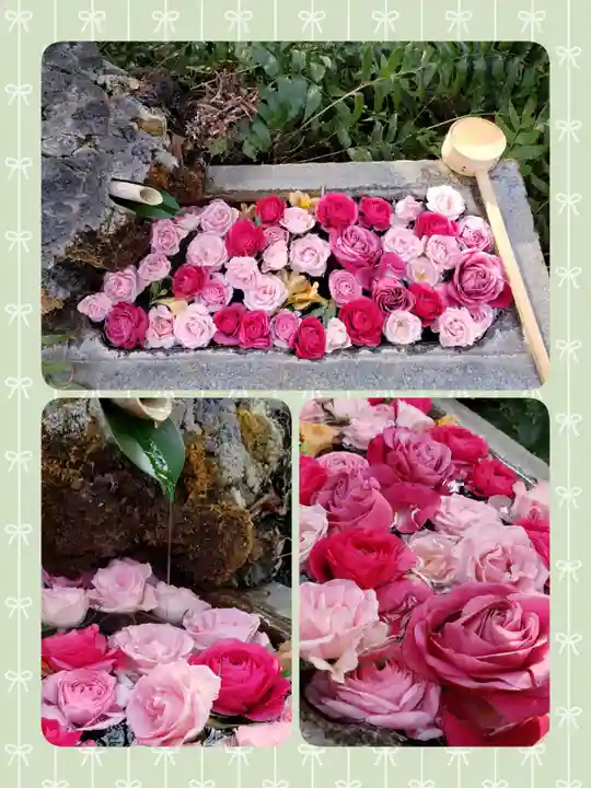 本郷氷川神社(東京都)