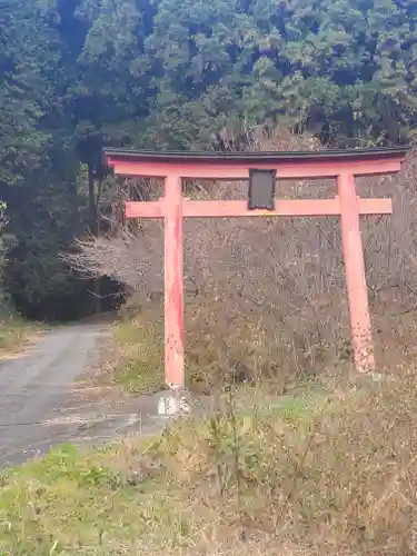 矢背負稲荷神社の鳥居