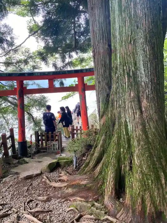 九頭龍神社本宮(神奈川県)