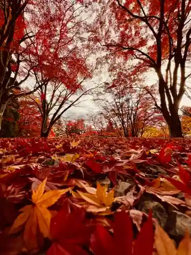 土津神社｜こどもと出世の神さまの景色