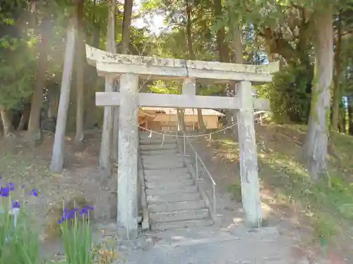 山本神社の鳥居