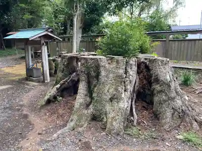 笠原神社(茨城県)