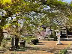 浄国寺(埼玉県)