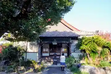 道智山 遍照院の本殿・本堂