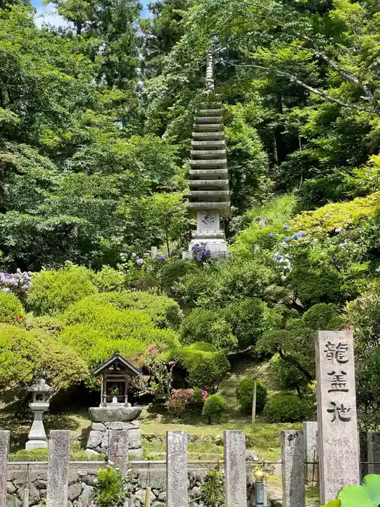 岡寺(龍蓋寺)(奈良県)