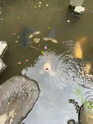 大綱金刀比羅神社(神奈川県)