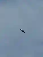 宗龍寺(長野県)