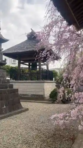 禪定院(東京都)