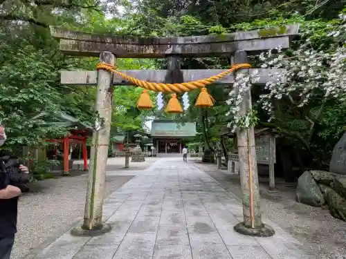 春日神社の{uncategorized: "未分類", other: "その他", undefined: "問題あり", building: "その他建物", grave: "お墓", sacred_gate: "鳥居", guardian: "狛犬", statue: "像", buddha: "仏像", history: "歴史", nature: "自然", garden: "庭園", animal: "動物", pagoda: "塔", temizu: "手水舎", mountain_gate: "山門・神門", sanctuary: "本殿・本堂", subordinate: "末社・摂社", art: "芸術", scenery: "景色", jizo: "地蔵", ema: "絵馬", goshuin: "御朱印", omikuji: "おみくじ", items: "授与品その他", amulet: "お守り", goshuincho: "御朱印帳", eats: "食事", festival: "お祭り", votive_dance: "神楽", shichigosan: "七五三参", wedding: "結婚式", experience: "体験その他", initially: "初詣", around: "周辺", anti_infection: "感染症対策"}