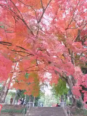 賀茂神社(宮城県)