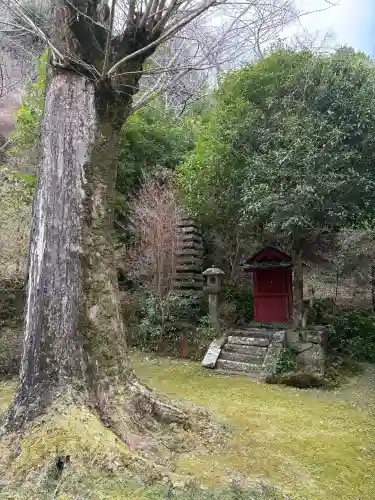 神童寺の{uncategorized: "未分類", other: "その他", undefined: "問題あり", building: "その他建物", grave: "お墓", sacred_gate: "鳥居", guardian: "狛犬", statue: "像", buddha: "仏像", history: "歴史", nature: "自然", garden: "庭園", animal: "動物", pagoda: "塔", temizu: "手水舎", mountain_gate: "山門・神門", sanctuary: "本殿・本堂", subordinate: "末社・摂社", art: "芸術", scenery: "景色", jizo: "地蔵", ema: "絵馬", goshuin: "御朱印", omikuji: "おみくじ", items: "授与品その他", amulet: "お守り", goshuincho: "御朱印帳", eats: "食事", festival: "お祭り", votive_dance: "神楽", shichigosan: "七五三参", wedding: "結婚式", experience: "体験その他", initially: "初詣", around: "周辺", anti_infection: "感染症対策"}